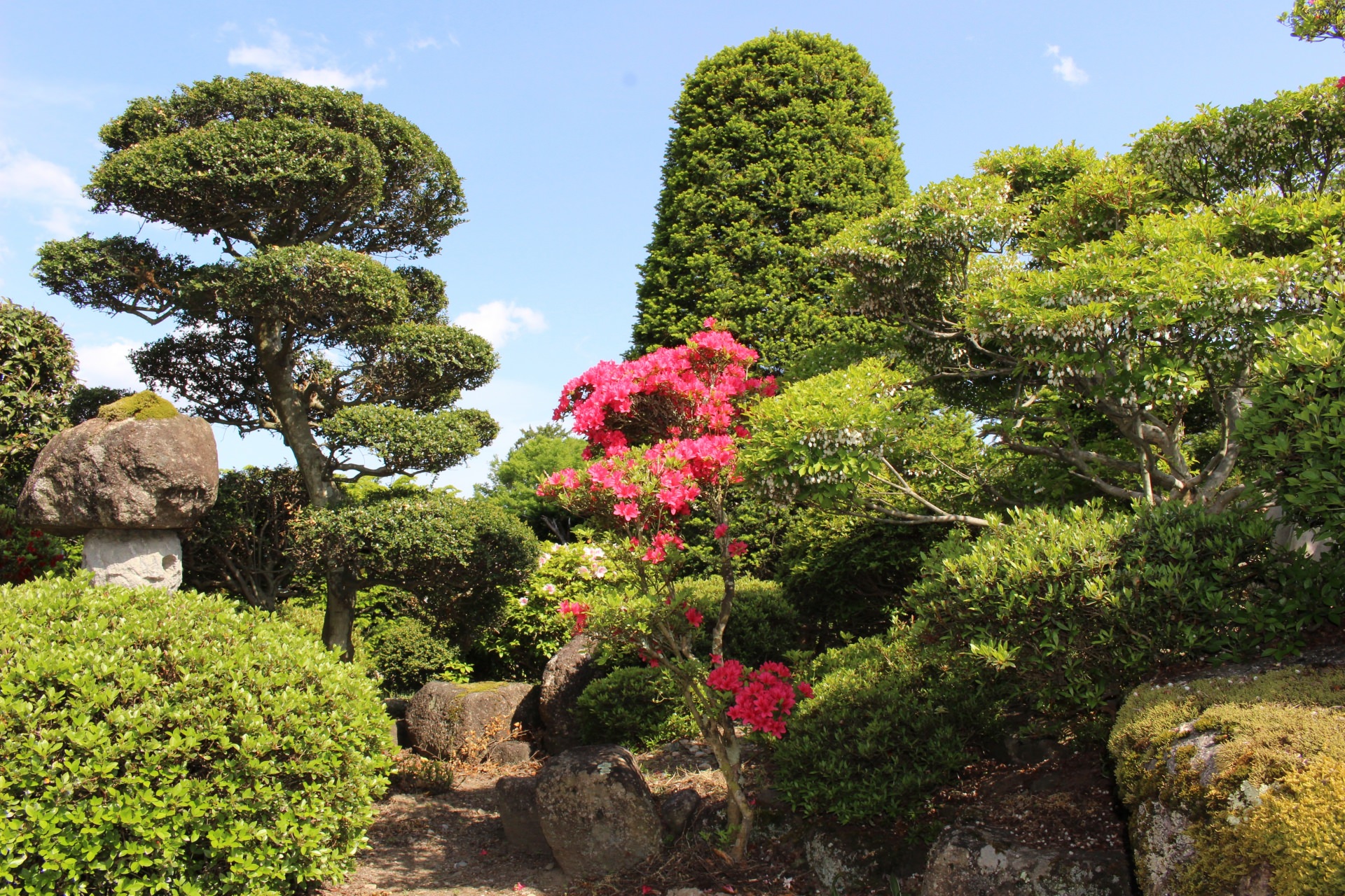 庭師ってどんな仕事 造園業や植木屋との違いはある ジェイウォーム 沖縄のバイト 社員求人情報サイト