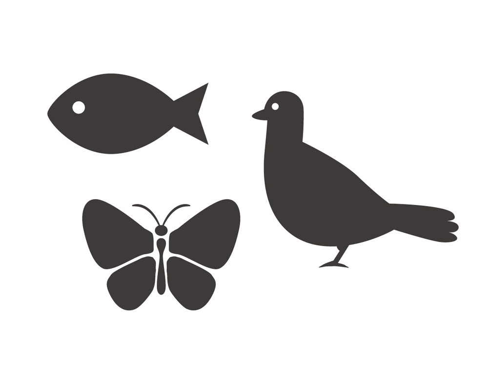 得意分野の知識を活かす 画像