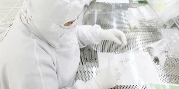 株式会社ADO（エーディーオー）の求人広告画像