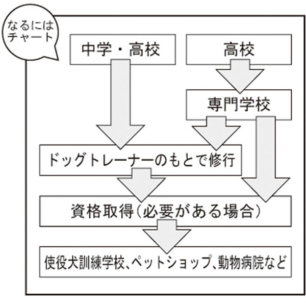 犬訓練士・ドッグトレーナー補足画像